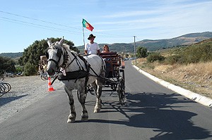 Alto Trás-os-Montes (81,48)