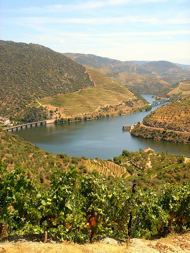 Douro Património Mundial