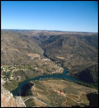 Águas do Douro chegam poluídas