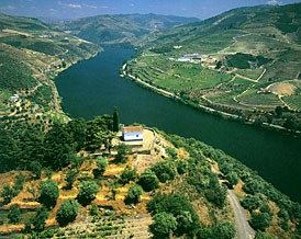 Património Douro-Duero