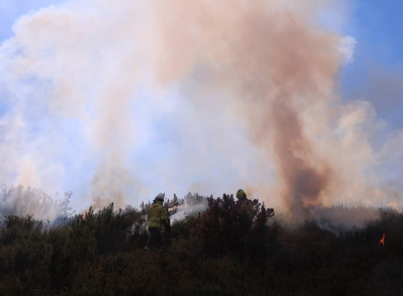 Polícia Judiciária deteve suspeito de incêndio florestal em Montalegre