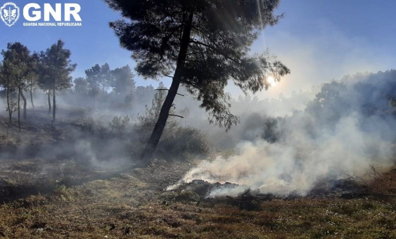 Idoso detido por provocar incêndio com queimada em Vinhais