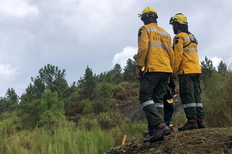 Despiste causa ferimentos ligeiros a quatro sapadores florestais em Montalegre