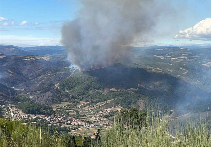 Vinhais estima prejuízos na agricultura deixados pelo incêndio deste domingo