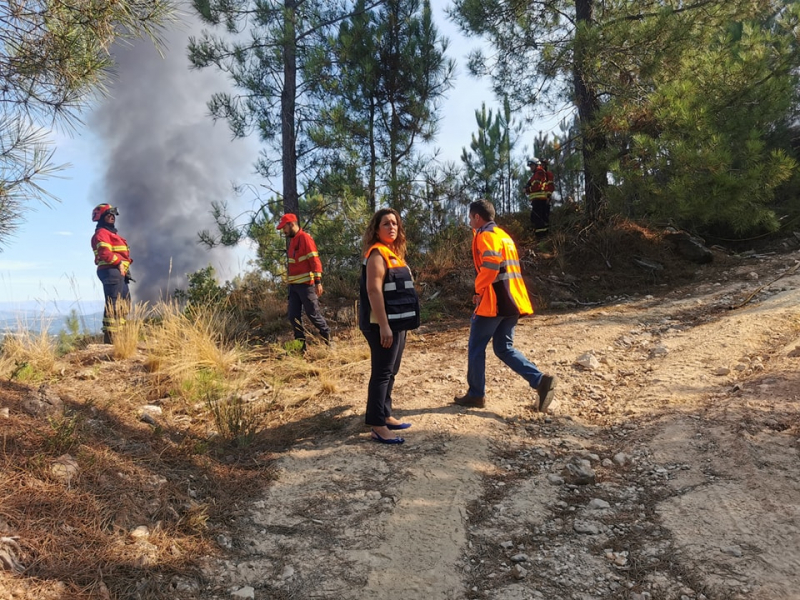 Autarca de Vila Pouca de Aguiar pede meios para combater fogos