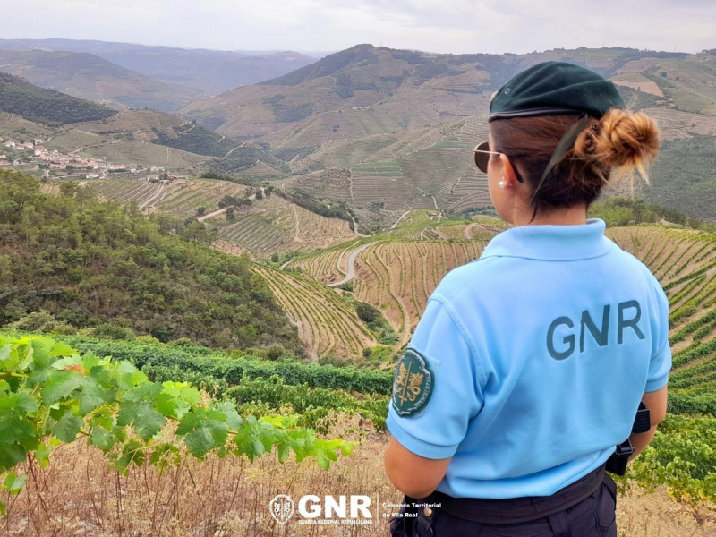 GNR e bombeiros procuram idosa desaparecida em aldeia de Vila Real