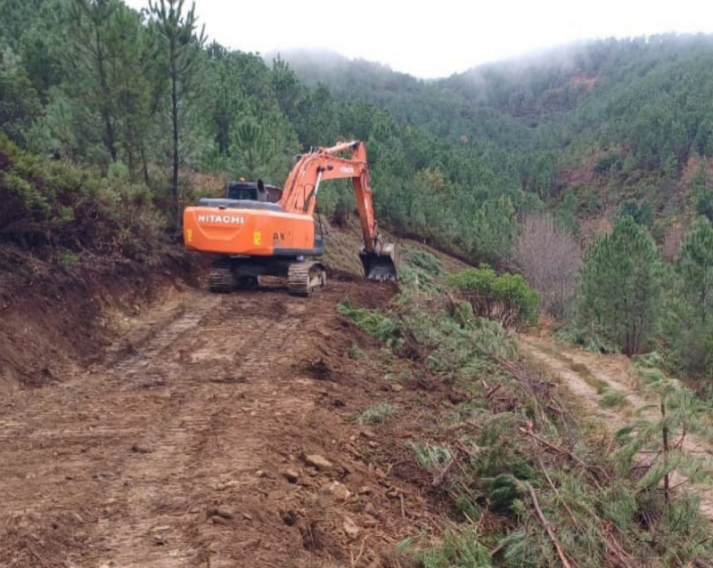 Savannah interrompe trabalhos no terreno em Boticas após providência cautela