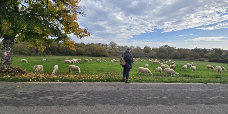 Miranda do Douro investiu 1,4 ME em Centro de Valorização de Raças Autóctones