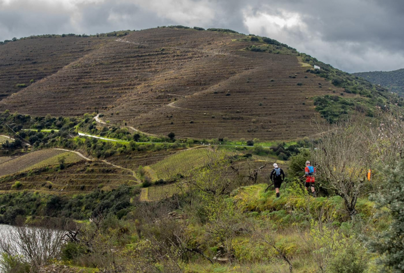 Campanha “"Que Douro És Tu?"” revela destino turístico para “todos os gostos”