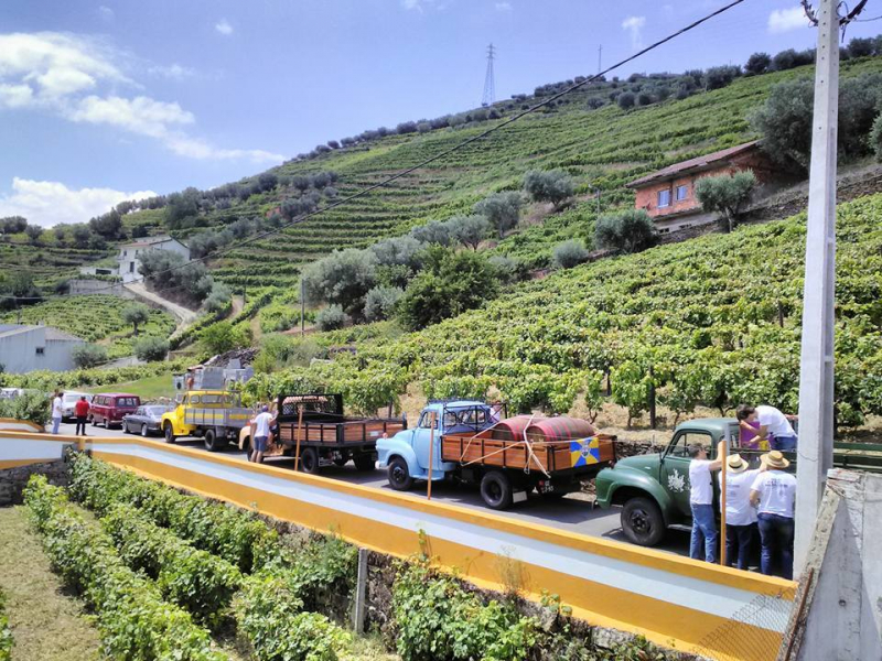 Douro preocupado com ameaças de tarifas dos Estados Unidos sobre vinho