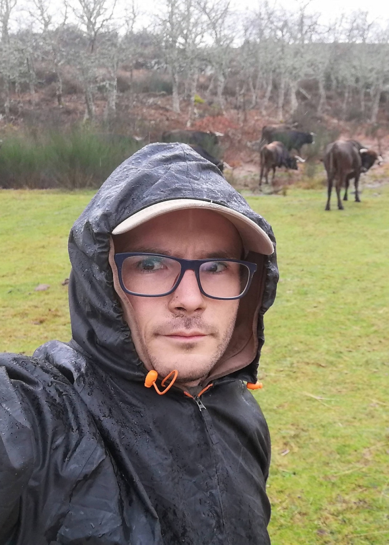 Cabras e vacas do Alvão pastam em baldios excluídos dos apoios